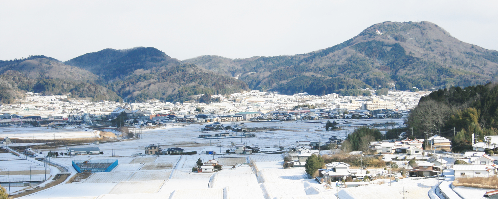 青山