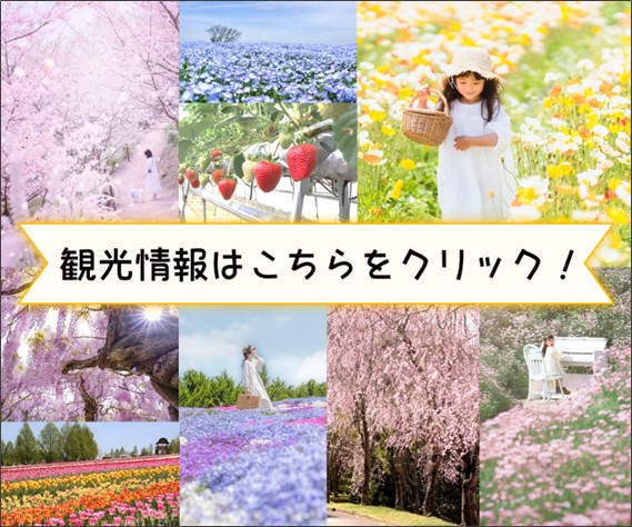 観光情報（３～５月）