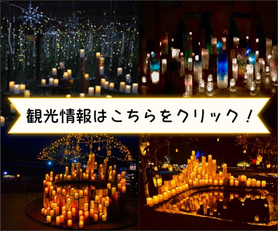 観光情報（12～２月）