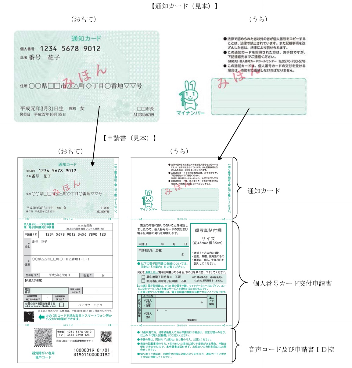 通知カード見体の画像