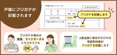 フリガナを記載します